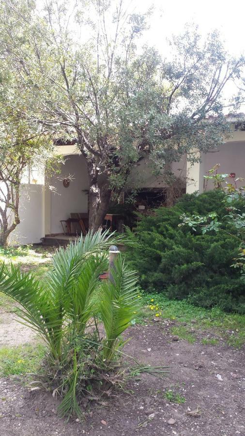 La Terrazza Sul Parco Apartment Oristano Bagian luar foto